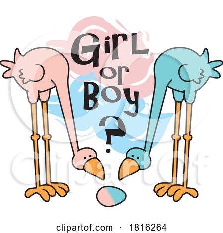 Cartoon Birds Looking at a Blue and Pink Egg Girl or Boy Gender Reveal Design Clipart by Johnny Sajem