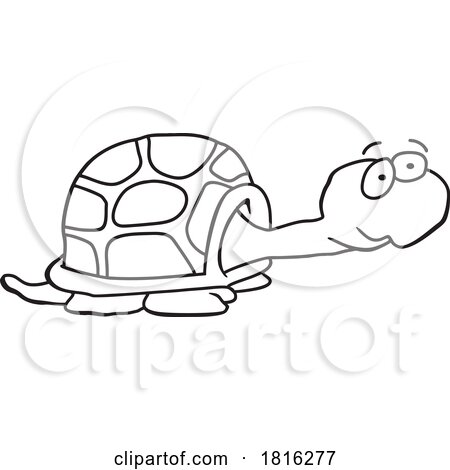 Cartoon Tortoise Clipart by Johnny Sajem