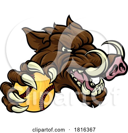 Boar Wild Hog Razorback Warthog Softball Mascot by AtStockIllustration