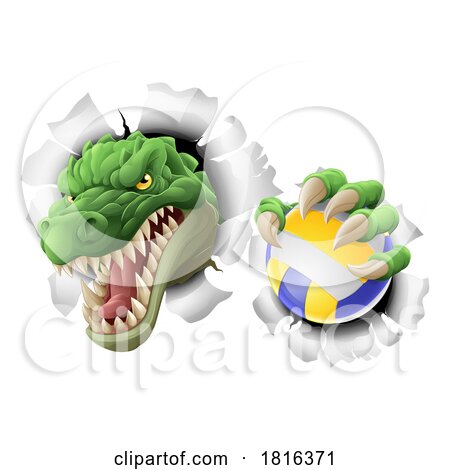 Alligator Crocodile Dinosaur Volleyball Mascot by AtStockIllustration