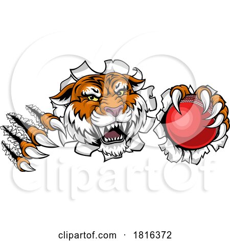 Tiger Cricket Ball Animal Sports Team Mascot by AtStockIllustration