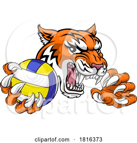 Tiger Volleyball Volley Ball Animal Sports Mascot by AtStockIllustration