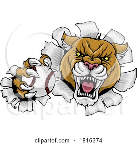 Cougar Panther Mountain Lion Puma Baseball Mascot by AtStockIllustration