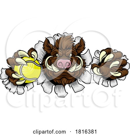 Boar Wild Hog Razorback Warthog Pig Tennis Mascot by AtStockIllustration