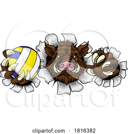 Boar Razorback Hog Volleyball Volley Ball Mascot by AtStockIllustration