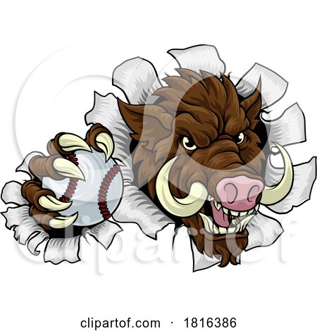 Boar Wild Hog Razorback Warthog Baseball Mascot by AtStockIllustration