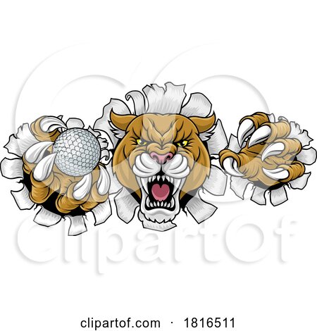 Cougar Panther Mountain Lion Puma Golf Ball Mascot by AtStockIllustration