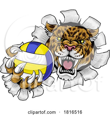 Jaguar Leopard Cheetah Panther Volleyball Mascot by AtStockIllustration