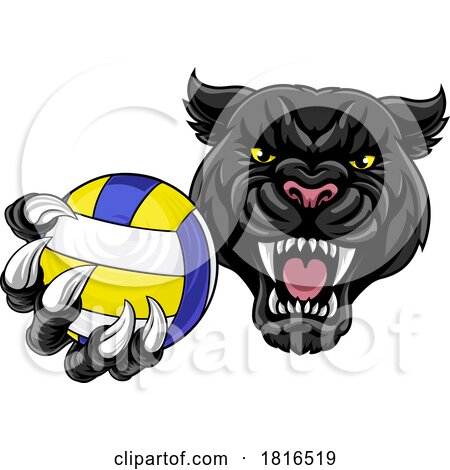 Black Panther Leopard Jaguar Cat Volleyball Mascot by AtStockIllustration