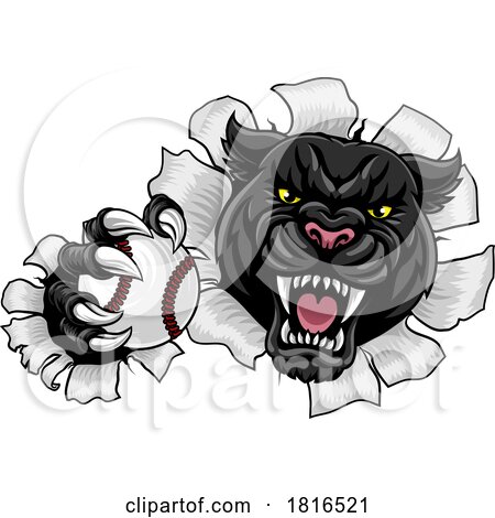 Black Panther Leopard Jaguar Cat Baseball Mascot by AtStockIllustration