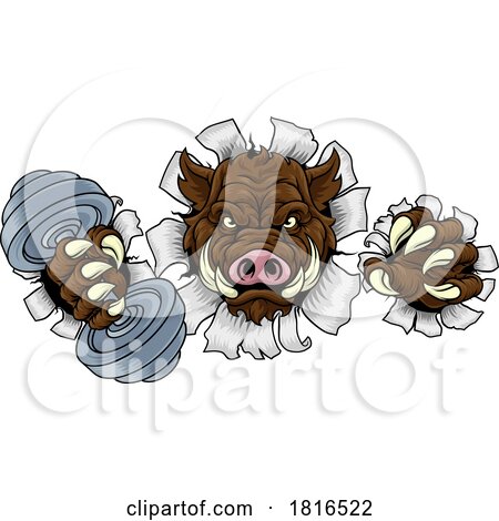 Boar Wild Razorback Warthog Weight Lifting Mascot by AtStockIllustration