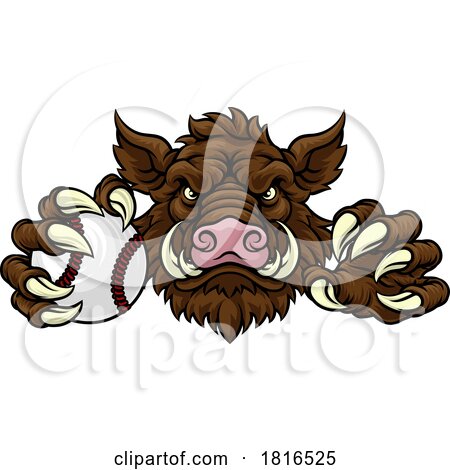 Boar Wild Hog Razorback Warthog Baseball Mascot by AtStockIllustration