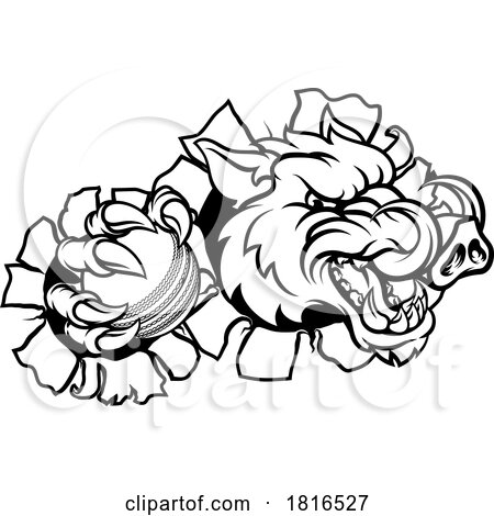 Boar Wild Hog Razorback Warthog Pig Cricket Mascot by AtStockIllustration