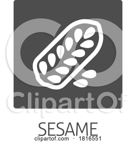 Sesame Seed Capsule Pod Food Allergen Icon Concept by AtStockIllustration