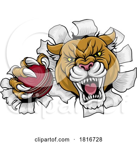 Cougar Panther Mountain Lion Puma Cricket Mascot by AtStockIllustration