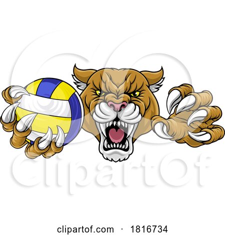 Cougar Panther Lion Puma Cat Volleyball Mascot by AtStockIllustration