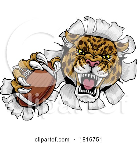 Jaguar Leopard Cheetah American Football Mascot by AtStockIllustration