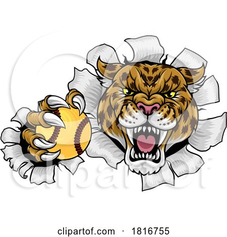 Jaguar Leopard Cheetah Panther Softball Mascot by AtStockIllustration