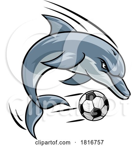 Dolphin Animal Soccer Football Sports Team Mascot by AtStockIllustration