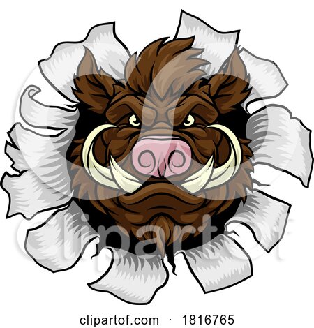 Boar Wild Hog Razorback Warthog Pig Sports Mascot by AtStockIllustration