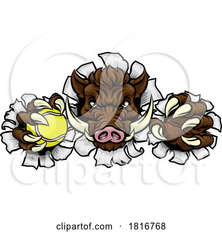 Boar Wild Hog Razorback Warthog Pig Tennis Mascot by AtStockIllustration