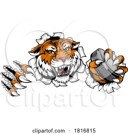 Tiger Ice Hockey Team Sports Cartoon Mascot by AtStockIllustration