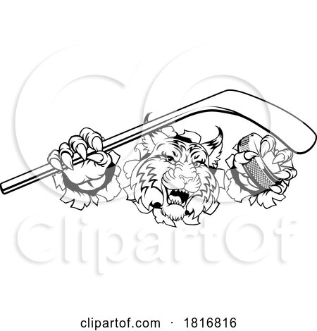 Wildcat Bobcat Ice Hockey Team Cartoon Mascot by AtStockIllustration