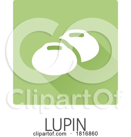 Lupin Bean Legume Food Icon Concept by AtStockIllustration