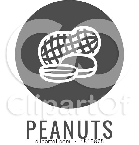 Peanut Nut Food Allergy Icon Concept by AtStockIllustration