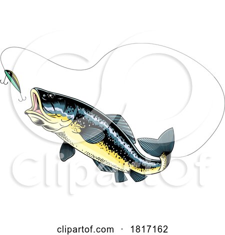 Cartoon Largemouth Bass Fish Chasing a Lure Licensed Clipart by Hit Toon