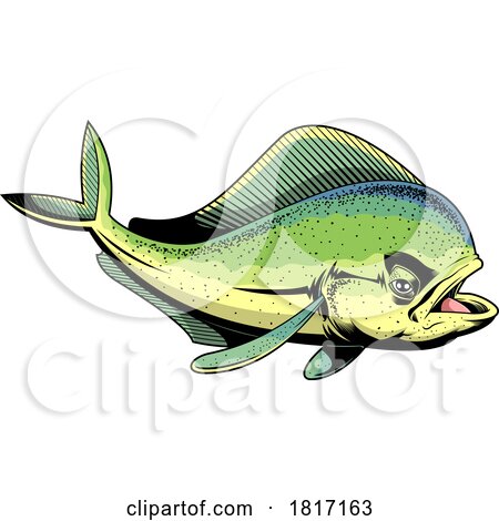 Cartoon Mahi Mahi Dolphin Fish Licensed Clipart by Hit Toon