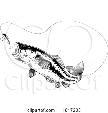 Cartoon Largemouth Bass Fish Chasing a Lure Licensed Clipart by Hit Toon