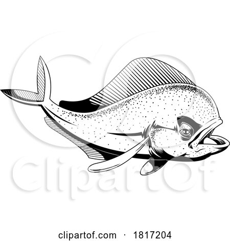 Cartoon Mahi Mahi Dolphin Fish Licensed Clipart by Hit Toon