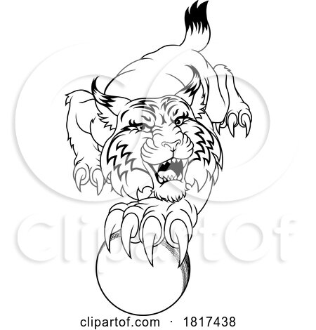 Wildcat Bobcat Cricket Ball Animal Team Mascot by AtStockIllustration