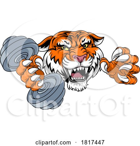 Tiger Weight Lifting Dumbbell Gym Animal Mascot by AtStockIllustration