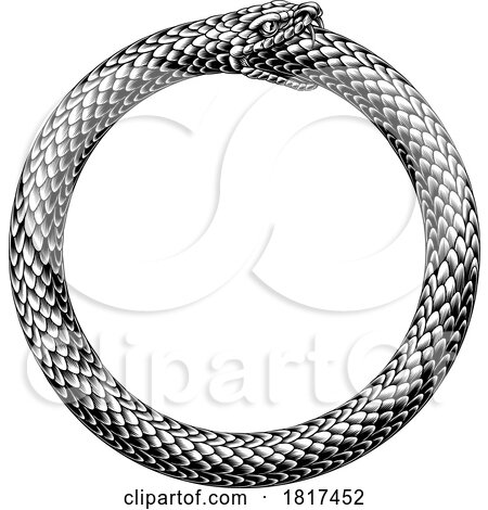 Ouroboros Uroboros Serpent Snake Vintage Woodcut by AtStockIllustration