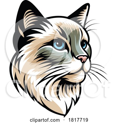 Cat Face Licensed Clipart by dero