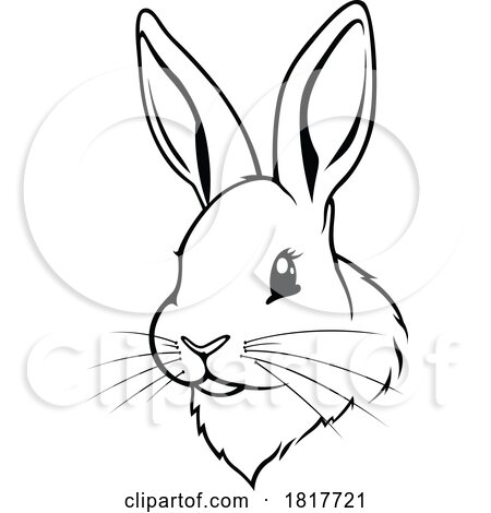 Drawing of a Rabbit Face in Black and White by dero