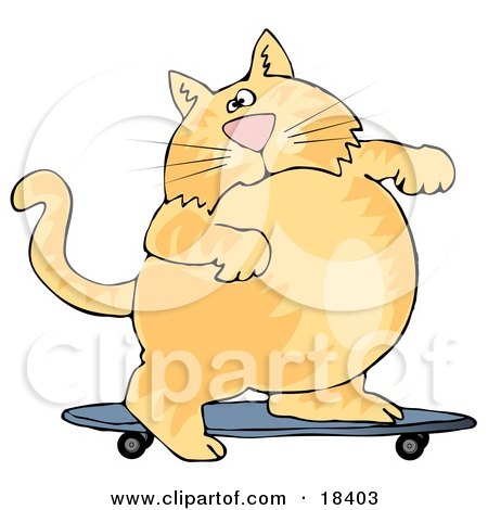 Clipart Illustration of a Fat Orange Cat Skateboarding On A Blue Skateboard by djart
