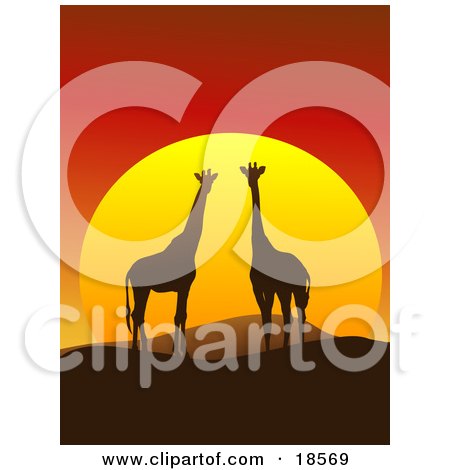 Clipart Illustration of a Giraffe Pair Silhouetted on a Hilly African Landscape in Front of a Big Red Sunset by Rasmussen Images