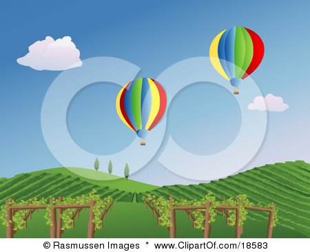 Clipart Illustration of Two Colorful Hot Air Balloons Drifting Over Grape Vines on a Hilly Vineyard Landscape in Napa by Rasmussen Images