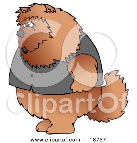 Clipart Illustration of a Big Furry Chow Chow Dog Wearing A Vest And Standing Up On Its Hind Legs Like A Human by djart