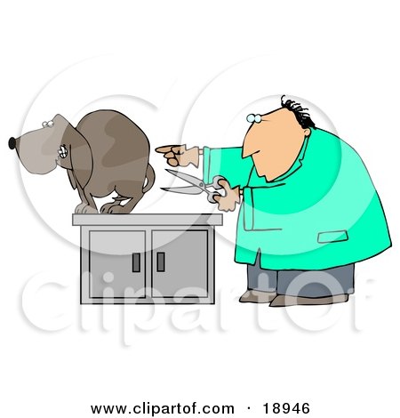 Clipart Illustration of a Nervous Brown Dog Cowering On An Exam Table As A White Male Vet Holds A Pair Of Scissors And Prepares To Neuter Him by djart
