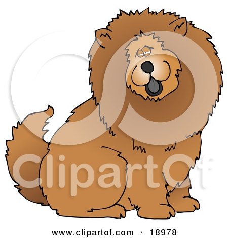 Clipart Illustration of a Cute And Fluffy Brown Chow Chow Dog Sticking His Black Tongue Out And Looking At The Viewer by djart