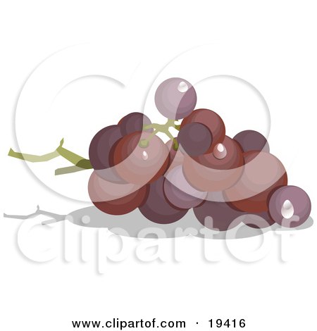 Clipart Illustration of Whole Ripe Purple Grapes In A Bunch On The Vine by Vitmary Rodriguez