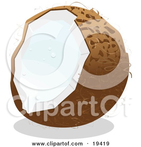 Clipart Illustration of a Cracked Open Coconut Fruit Dripping White Milk From The Inside by Vitmary Rodriguez