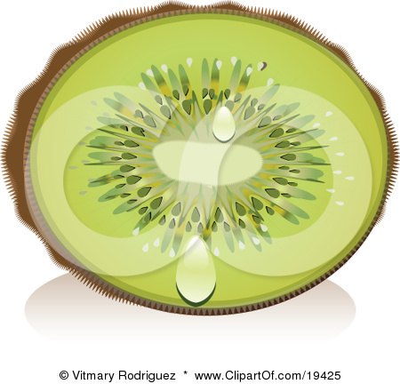 Clipart Illustration of a Juicy Halved Fuzzy Green Kiwi Fruit With Juice Droplets by Vitmary Rodriguez