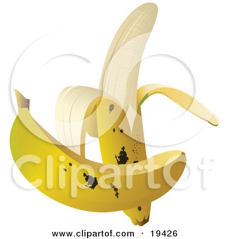 Clipart Illustration of a Whole Ripe And Browning Banana In Front Of A Partially Peeled Banana Fruit by Vitmary Rodriguez