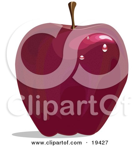 Clipart Illustration of a Ripe And Freshly Waxed Red Delicious Apple With Light Reflecting Off Of The Waterdrops by Vitmary Rodriguez