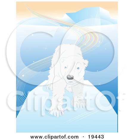 Clipart Illustration of a Shaggy And Wet White Polar Bear With Blue Eyes, Standing On An Iceberg After Swimming In The Arctic Waters by Vitmary Rodriguez